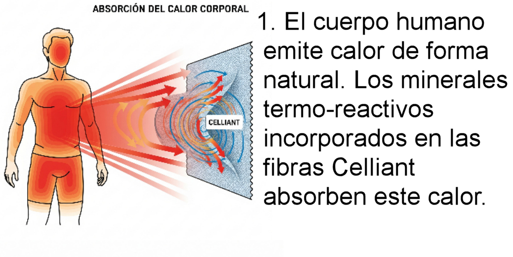 Fase 1 Celliant