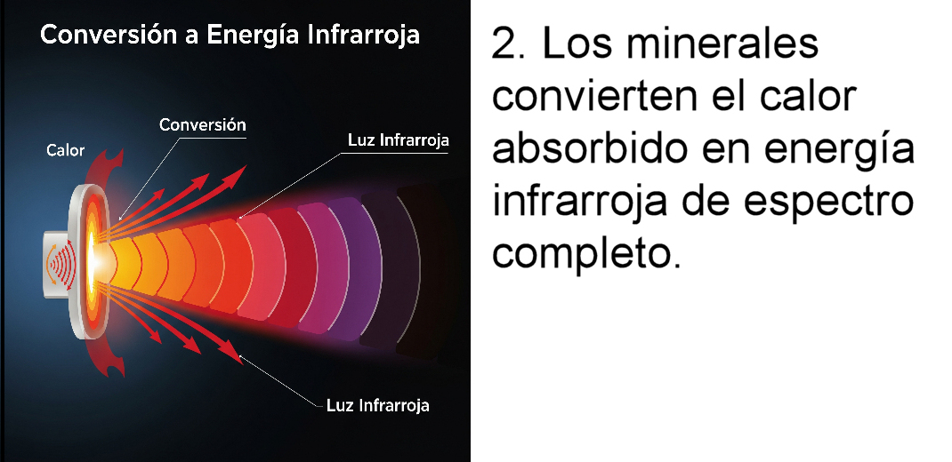 Fase 2 Celliant