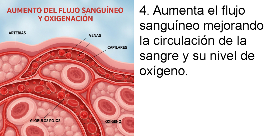 Fase 4 Celliant